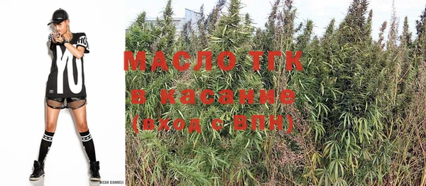 шишки Мегион