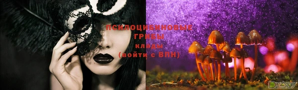 шишки Мегион