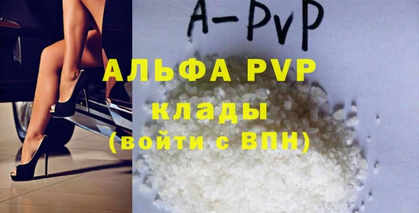 шишки Мегион