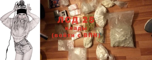 шишки Мегион