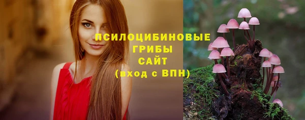 а пвп мука Медвежьегорск