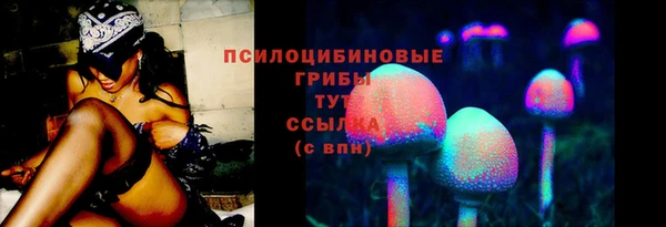 а пвп мука Медвежьегорск