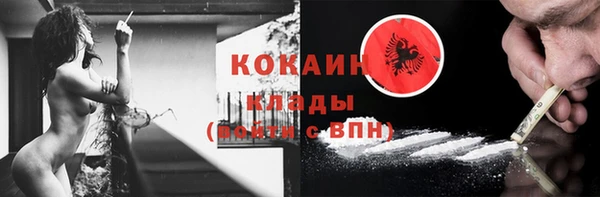 шишки Мегион