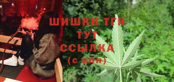 шишки Мегион