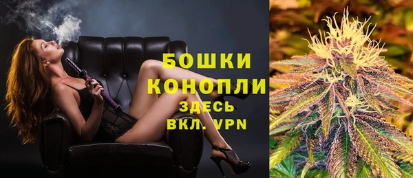 стафф Медногорск