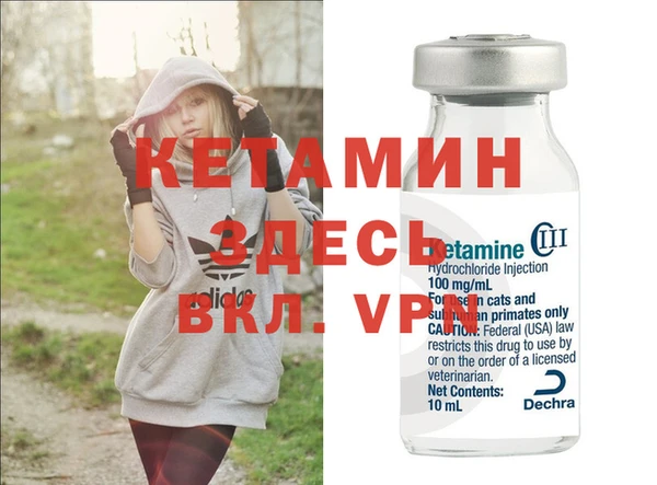 шишки Мегион