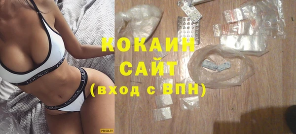 шишки Мегион