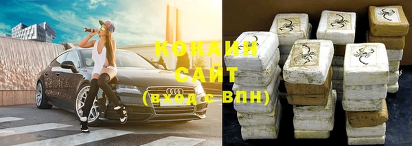 шишки Мегион