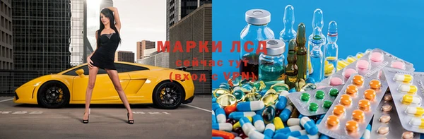 стафф Медногорск
